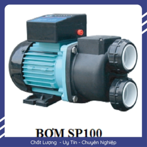 BƠM LỌC HỒ BƠI